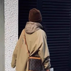未使用品級　LOUIS VUITTON ミルクボックス　ショルダーバッグの画像