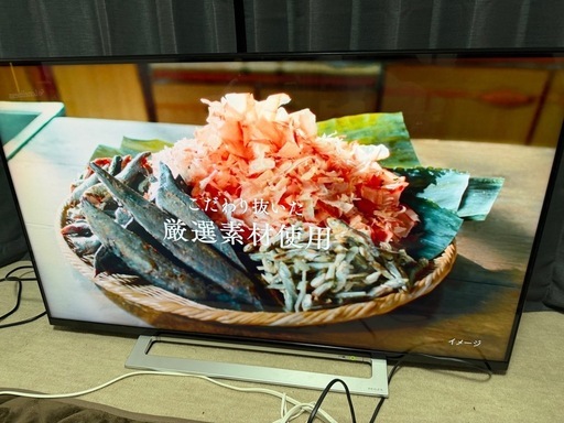 東芝 43インチ 4K2019年製2019年製チューナー搭載 液晶テレビ レグザ 43M520X 外付けHDD W録画対応 動画アプリ搭載