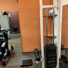 状態良好 BODYMAKER EXCELLENT/ボディメーカー エクセレント ラットマシーン 手渡し希望/自社配送可能（配送エリアについてお問い合わせください)の画像