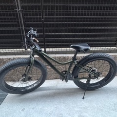 EIZER ファットバイク 26インチ 極太タイヤ 太いタイヤ シマノ 7段変速 Wディスクブレーキ 自転車 雪道 砂浜 アイゼル F260の画像