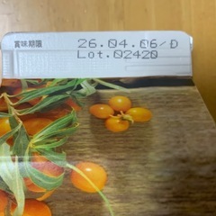 豊潤サジー 新品未開封の画像