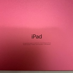 iPad（第10世代 / 10.9インチ / 256GB / ピンク）本体の画像