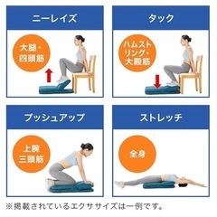 【新品✨未使用】ゴロネックスの画像