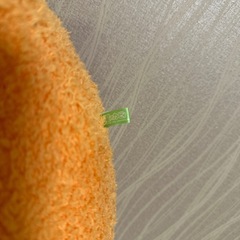 ワドルディBIG ぬいぐるみの画像