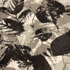 Francfrancクツショカバー2枚の画像