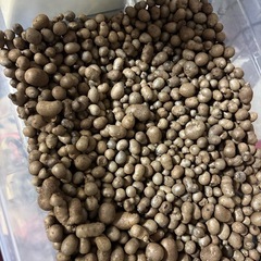 無農薬栽培　むかご　200gの画像