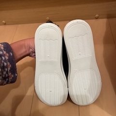 新品未使用になりますの画像