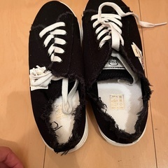 新品未使用になりますの画像