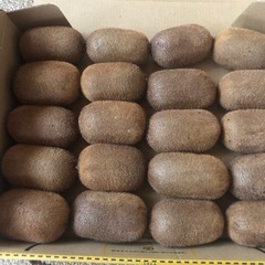 【取引希望日時を複数お知らせください】キウイフルーツ （緑）１キロUPの画像