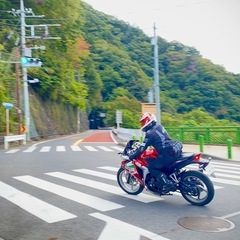 CBR250R の画像