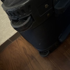 大きなバッグ　ゴルフ用？の画像