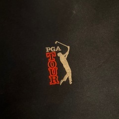 大きなバッグ　ゴルフ用？の画像