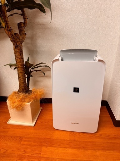 SHARP 除湿機 CV-R71-W 2024年製 清掃済 プラズマクラスター