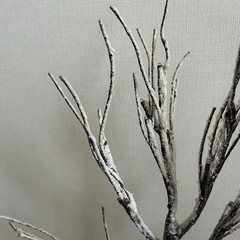 クリスマスツリーの画像