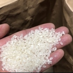 本日2袋限定🌈ひとめぼれ玄米10キロ🌾精米無料の画像