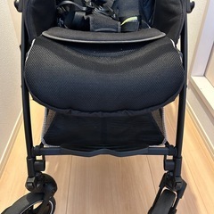 ピジョン ランフィリノン RA9Lの画像