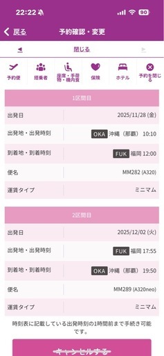 peach 搭乗券　大人男性1名分　沖縄福岡　11/28 12/2　往復