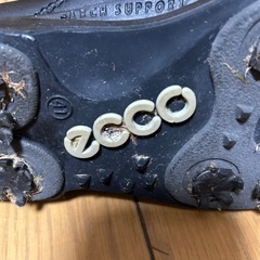 ゴルフシューズの画像