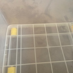 洋服入れ
の画像