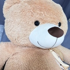 teddyベアの画像