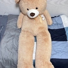 teddyベアの画像