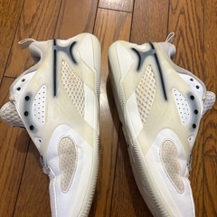 Nike　バスケットシューズの画像