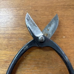 お花用剪定はさみ
の画像