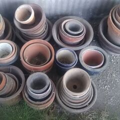 植木鉢　まとめ売りの画像