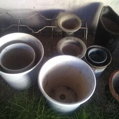 植木鉢　まとめ売りの画像