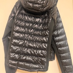 カナダグースの画像