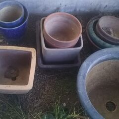 植木鉢　まとめ売りの画像