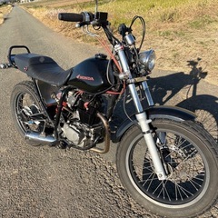 FTR223カスタム　絶好調（スカチューン）自賠責付の画像