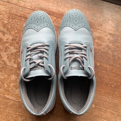 ゴルフシューズの画像