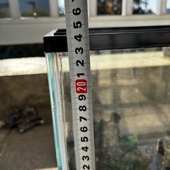 【無料】ガラス水槽セット（ライト・レイアウト付き）の画像