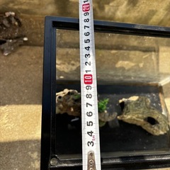 【無料】ガラス水槽セット（ライト・レイアウト付き）の画像