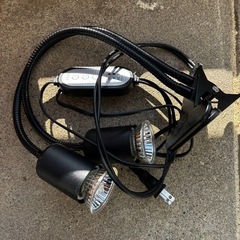 【無料】ガラス水槽セット（ライト・レイアウト付き）の画像