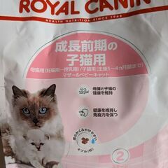 キャットフードの画像