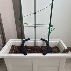 家庭菜園グッズ　(培養土　プランター　バジル　種　スコップ)　セットの画像