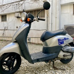 トゥデイaf67★FIモデルの画像