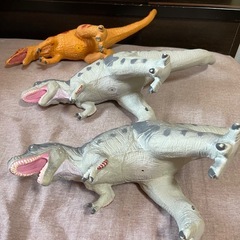 3 恐竜 dinosaurus の画像