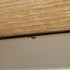 新品同様　バーチェア カウンターチェア 2個セット バースツール ハイスツール スリム コンパクト キッチン朝食 高さ70cm (円形＆オーク, 2個入り) の画像