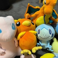 本日引取り可能な方 ポケモンぬいぐるみ(美品)の画像