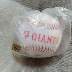 巨人軍ジャイアンツ　中畑清　サインボール　経年保管のため袋汚れ有り　の画像