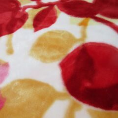 西川　NISHIKAWA 高級毛布　極上の肌触り　 シングル　お色違いも出品中の画像