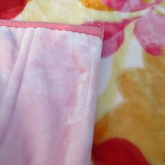 西川　NISHIKAWA 高級毛布　極上の肌触り　 シングル　お色違いも出品中の画像