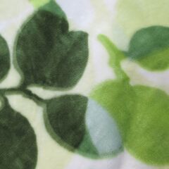 西川　NISHIKAWA 高級毛布　極上の肌触り♡ シングル　お色違いも出品中の画像