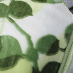 西川　NISHIKAWA 高級毛布　極上の肌触り♡ シングル　お色違いも出品中の画像