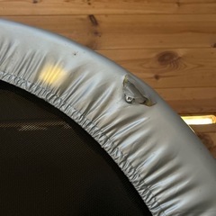 訳ありトランポリンの画像