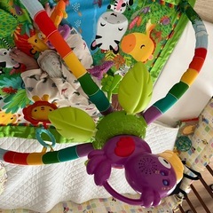 ベビーグッズ　ベビーおもちゃ　ベビー用品　プレイジム
の画像