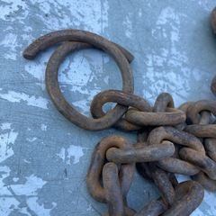 ヒッパラー/レバーブロック/1tの画像